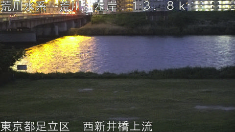 arani2026042919_image