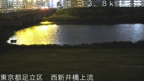 arani2026042922_image