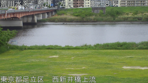 arani2026043009_image