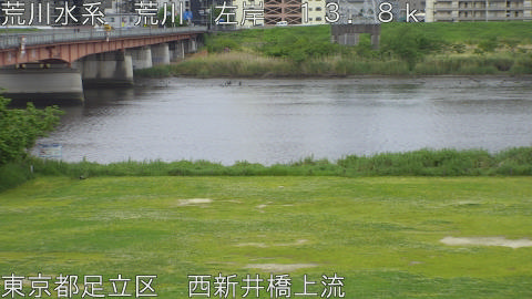 arani2026043013_image