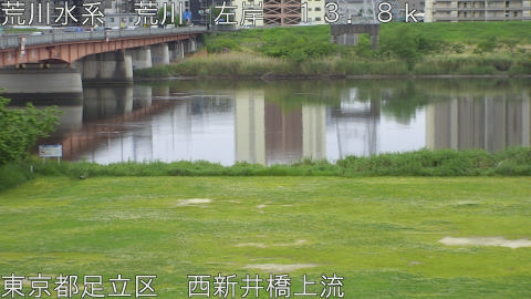 arani2026043015_image