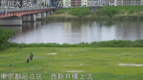 arani2026043017_image