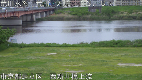 arani2026043018_image