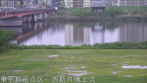 arani2026050106_image
