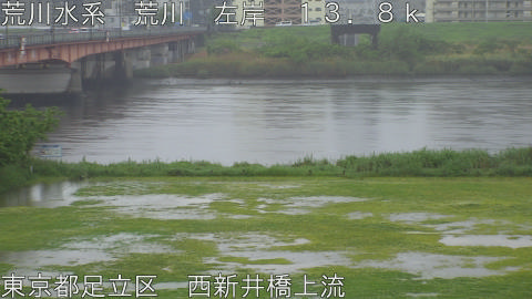 arani2026050110_image