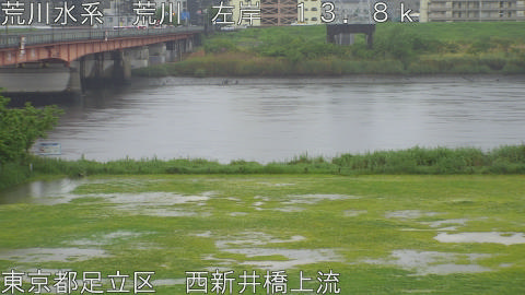 arani2026050111_image