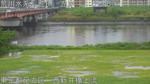 arani2026050112_image