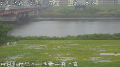 arani2026050113_image