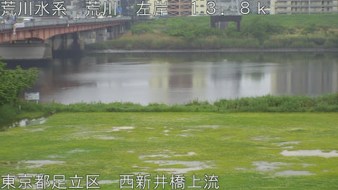 arani2026050114_image