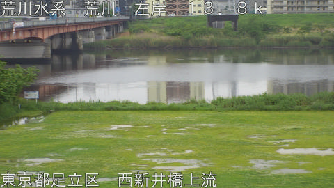 arani2026050115_image
