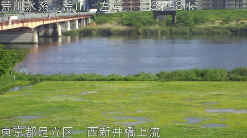 arani2026050116_image