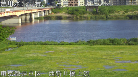 arani2026050117_image