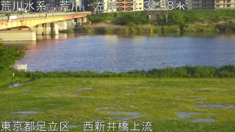 arani2026050118_image