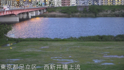 arani2026050119_image