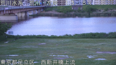arani2026050205_image