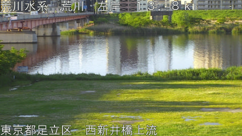 arani2026050206_image
