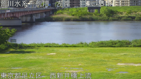 arani2026050208_image