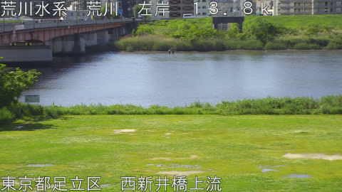 arani2026050209_image