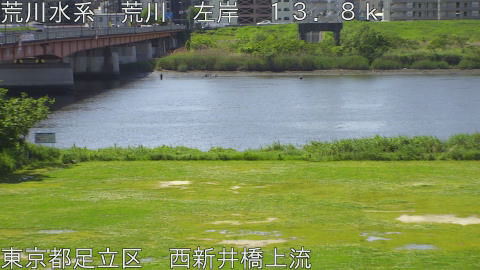 arani2026050210_image