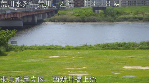 arani2026050211_image