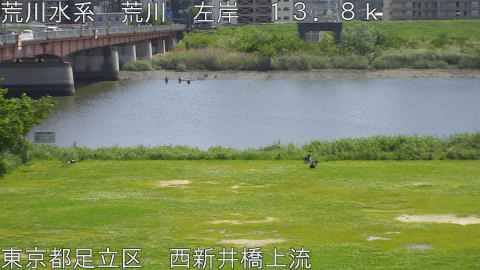 arani2026050213_image