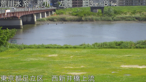 arani2026050214_image