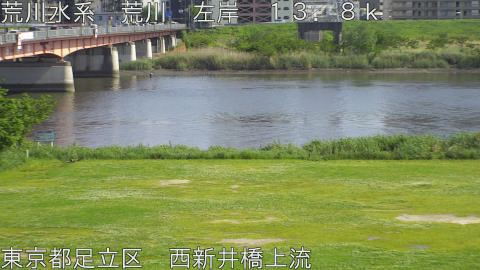 arani2026050215_image