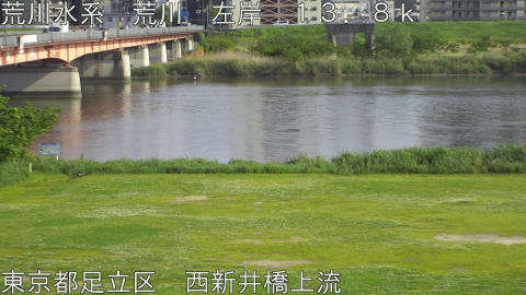 arani2026050216_image