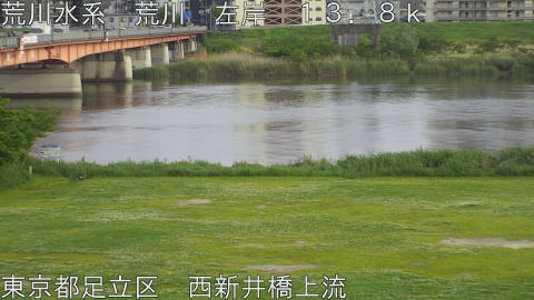 arani2026050217_image