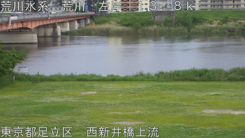 arani2026050218_image