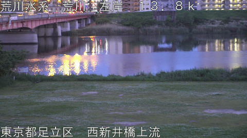 arani2026050219_image