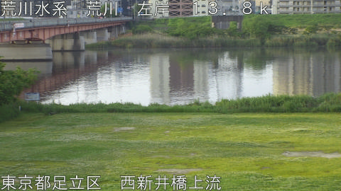 arani2026050306_image
