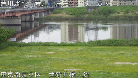 arani2026050307_image