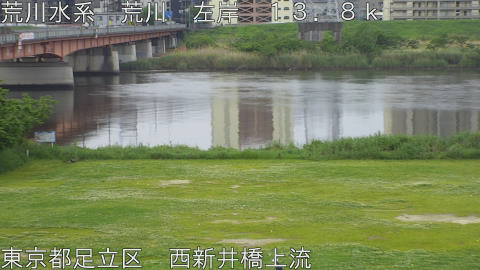 arani2026050308_image