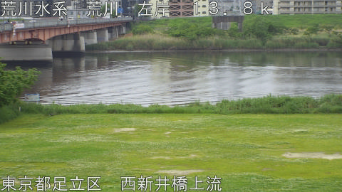 arani2026050309_image