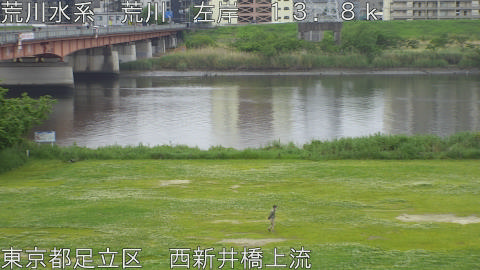 arani2026050310_image