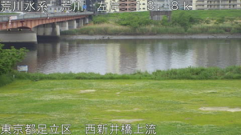 arani2026050311_image