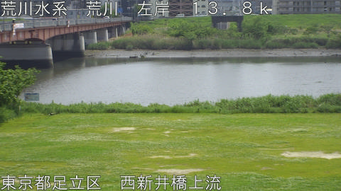 arani2026050313_image