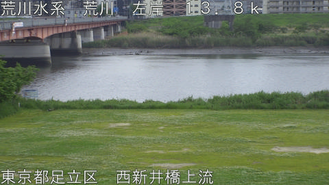 arani2026050314_image