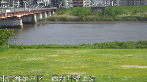 arani2026050315_image