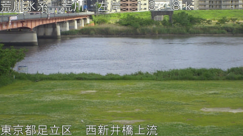 arani2026050316_image