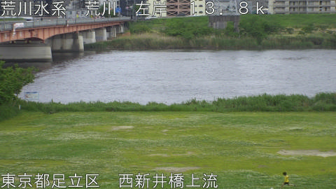 arani2026050317_image