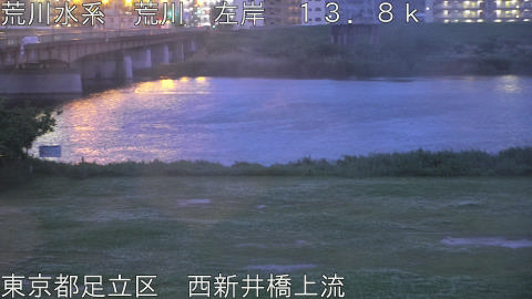 arani2026050405_image
