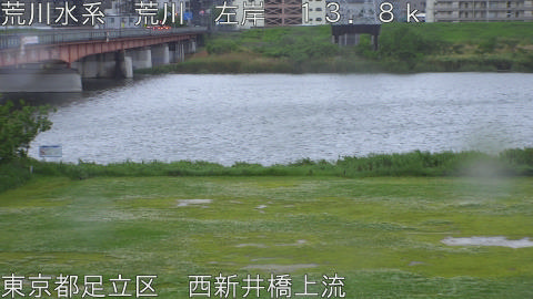 arani2026050406_image
