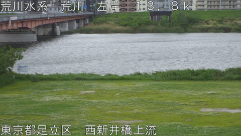 arani2026050407_image