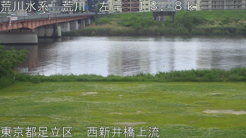 arani2026050409_image