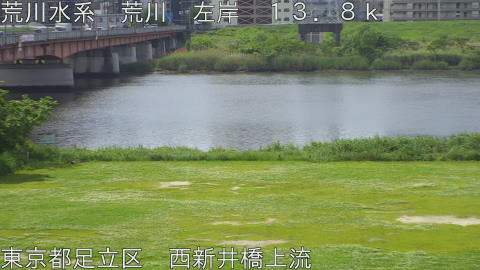 arani2026050410_image