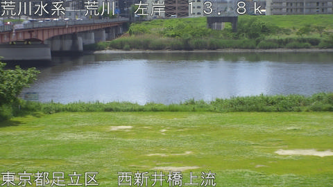 arani2026050411_image