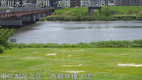 arani2026050412_image