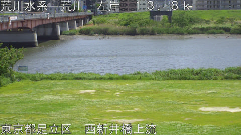 arani2026050413_image